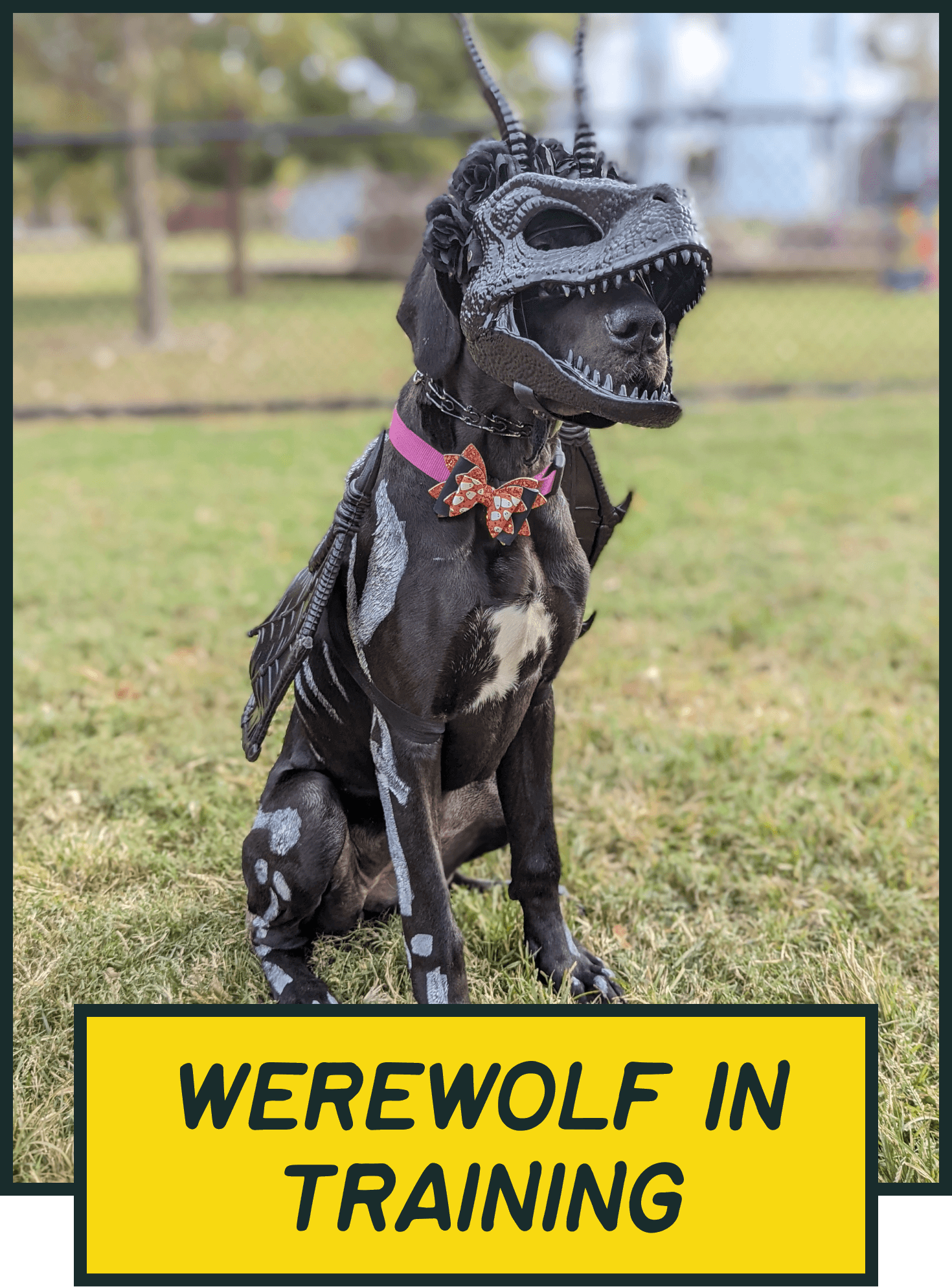 Werewolf in Training